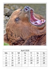 April_Kodiakbär.pdf